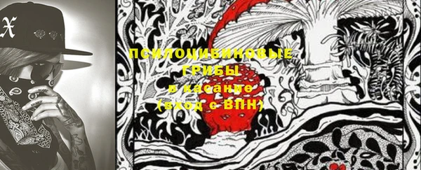 МДПВ Верхний Тагил