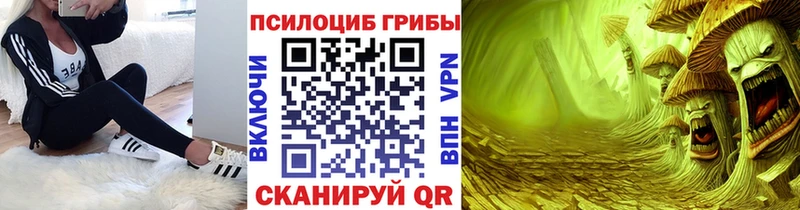 купить закладку  Сургут  Галлюциногенные грибы мухоморы 