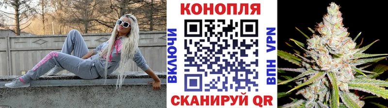 Конопля Amnesia  купить   Сургут 